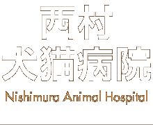 西村犬猫病院